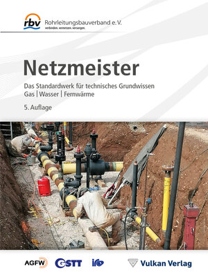 cover image of Netzmeister